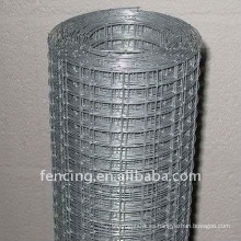 ISO Galvanized Welded Wire Mesh (fabricante)